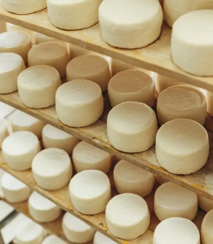 Earl Bigeat Producteur De Fromage Correze Exploitation Earl Bigeat Producteur De Fromage Correze Exploitation